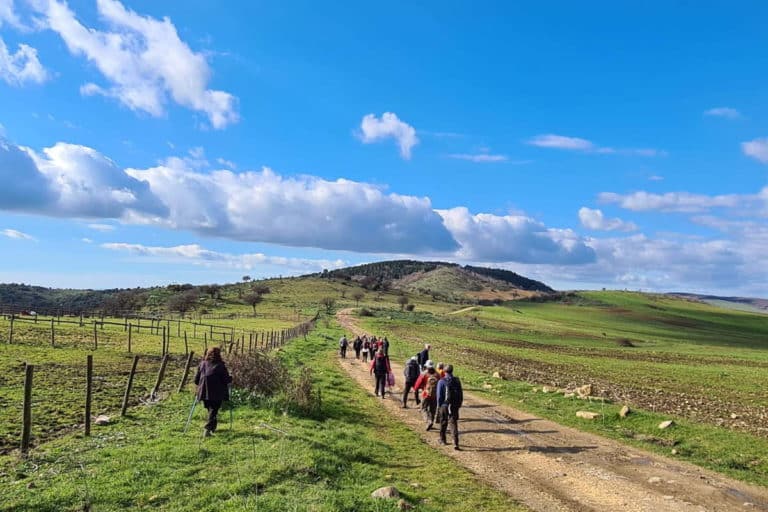 cammino tuscia103.jpg
