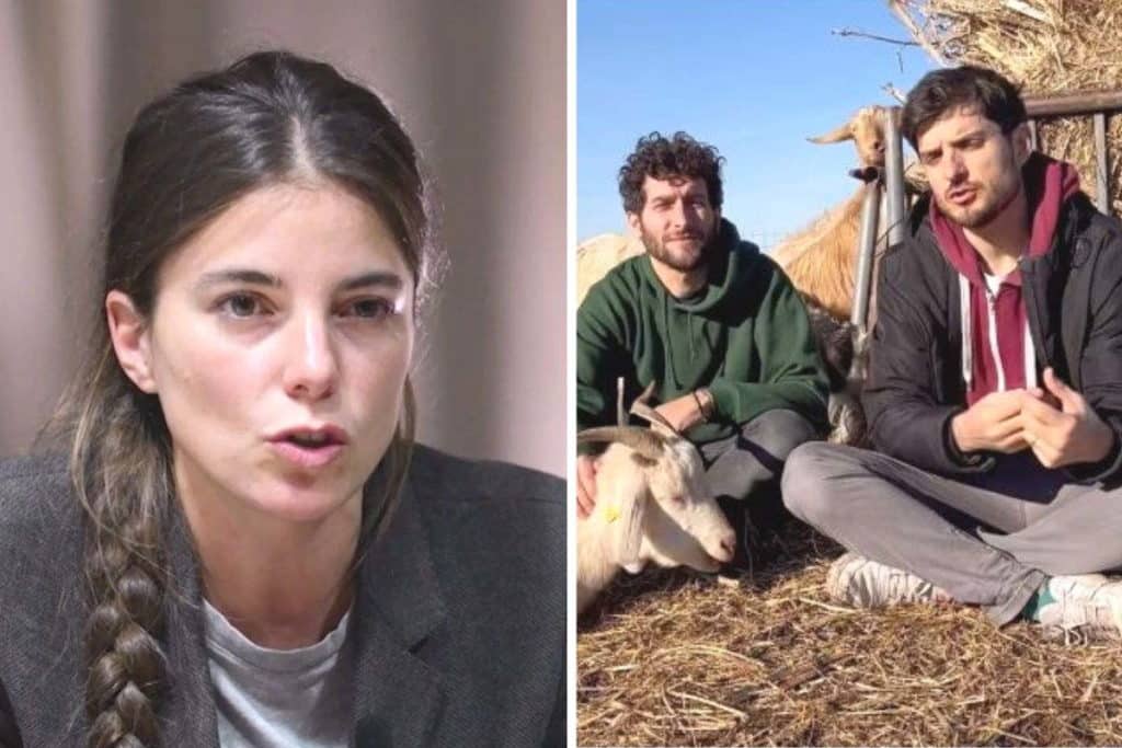 candidati animalav.jpg