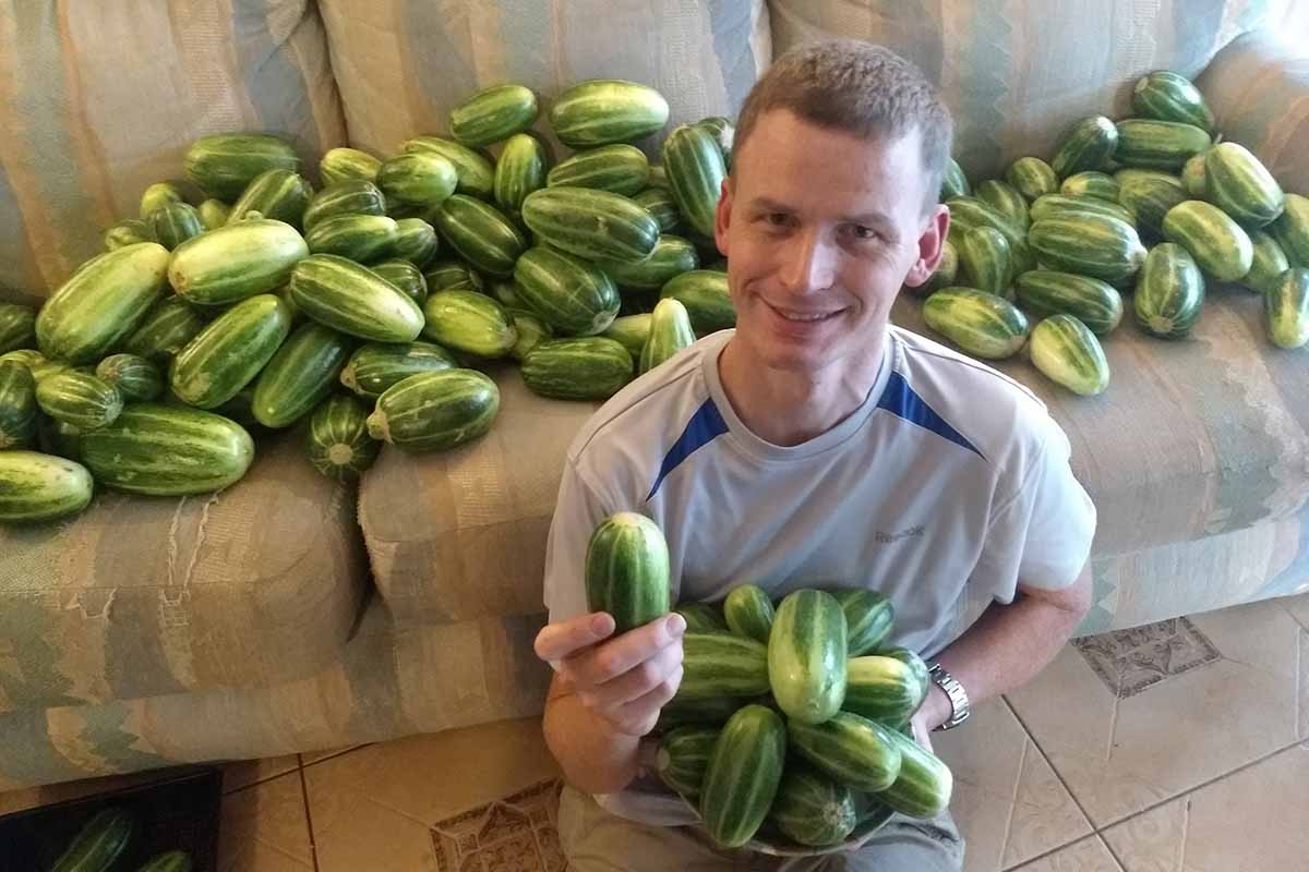 Altro che cetriolini, tutti pazzi per i caroselli pugliesi negli Usa 1 carosello pugliese.jpg