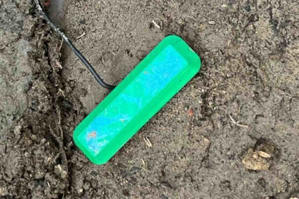 celle a combustibile alimentate dai batteri del suolo.jpg