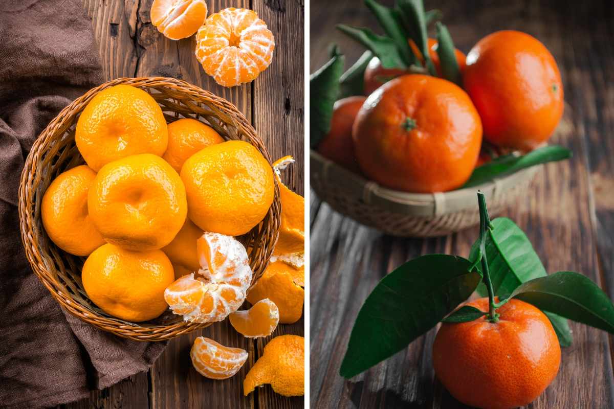 Qual è la differenza tra mandarini, mandaranci e clementine? 1 clementine e mandarini 1.jpg