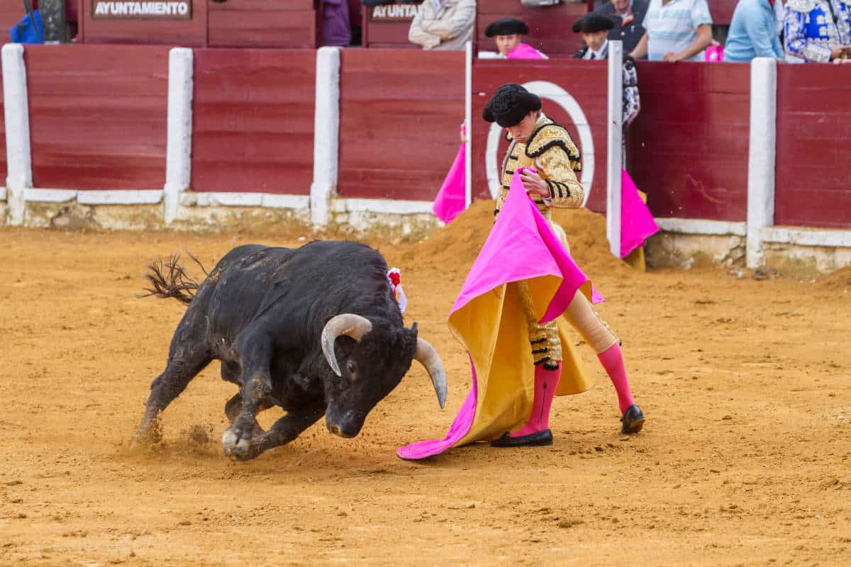 corrida tori.jpg