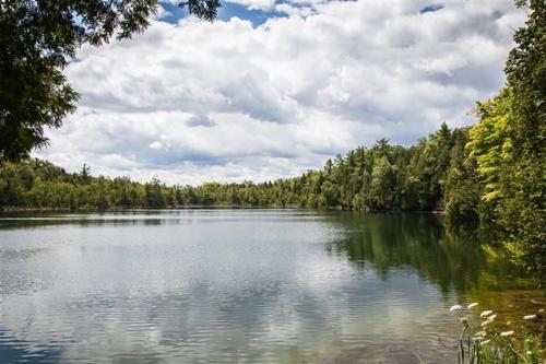 crawford lake m.jpg