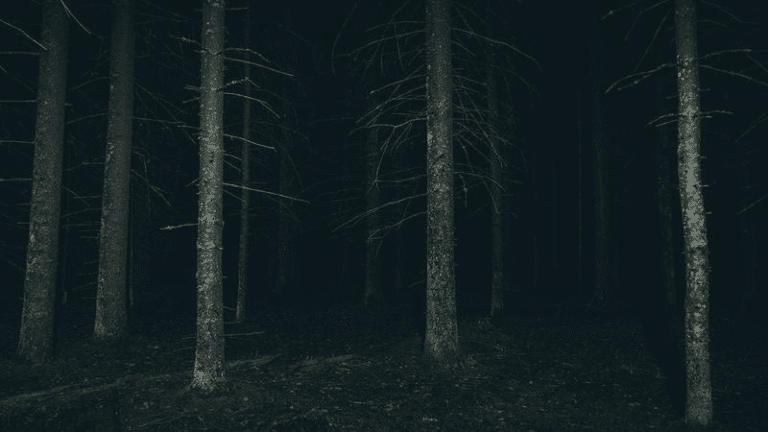 dark forest m.png