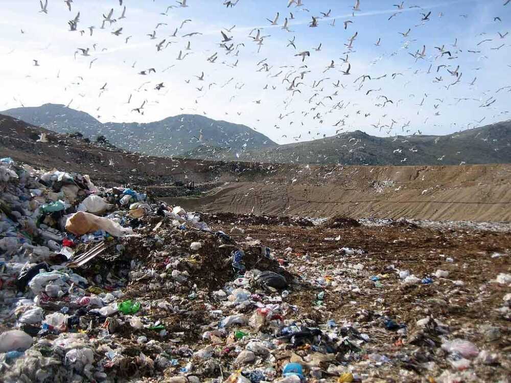 discarica di malagrotta.jpg