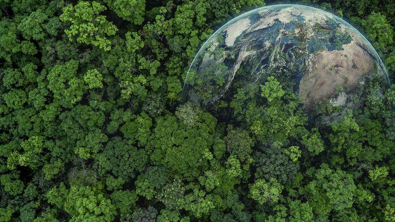 earth m 1.jpg