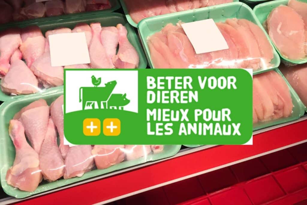 etichetta benessere animale fiandre.jpg