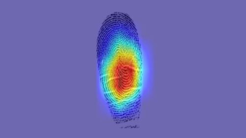 fingerprint region 1 500x281.jpg