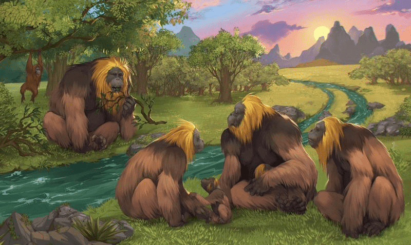 gigantopithecus blacki m.png