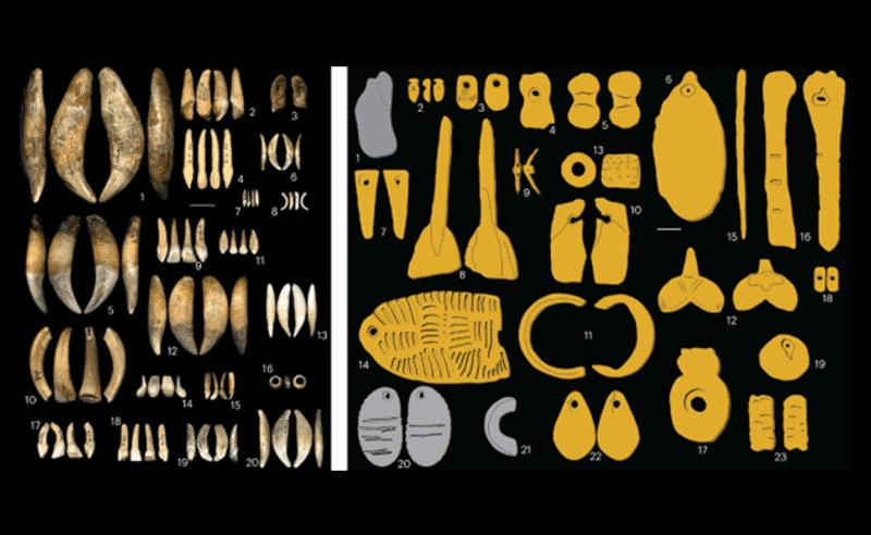 Gli ornamenti Gravettiani: un’analisi delle culture preistoriche europee 1 gravettian ornaments m.png