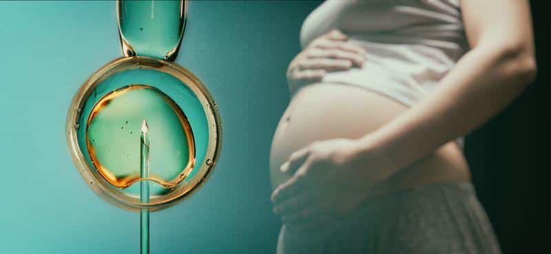 Un nuovo test non invasivo per migliorare la selezione degli embrioni nella fecondazione in vitro 1 ivf pregnancy m.jpg