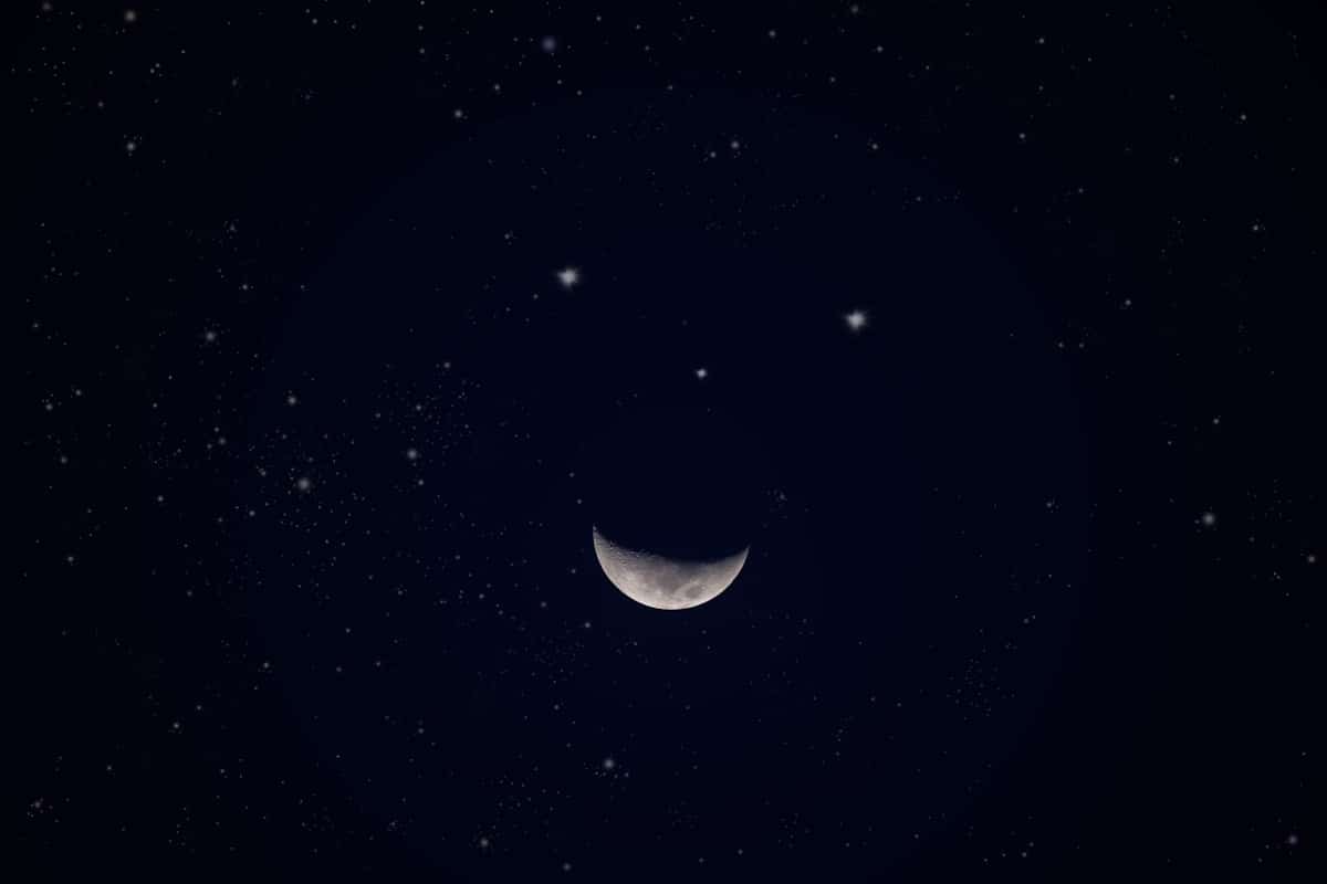 Prima il “bacio” Luna-Venere, poi Luna-Marte (sotto le stelle cadenti), due giorni di seguito di spettacoli celesti visibili a occhio nudo 1 luna venere marte febbraio 2024.jpg