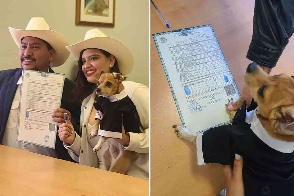 matrimonio cane.jpg