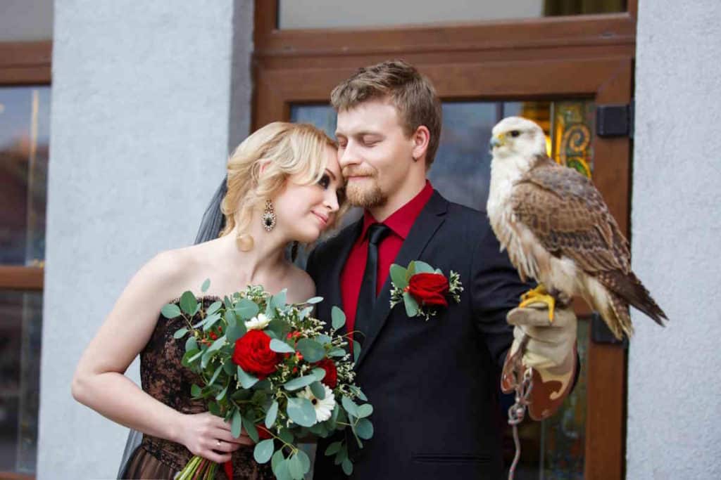 matrimonio rapace.jpg