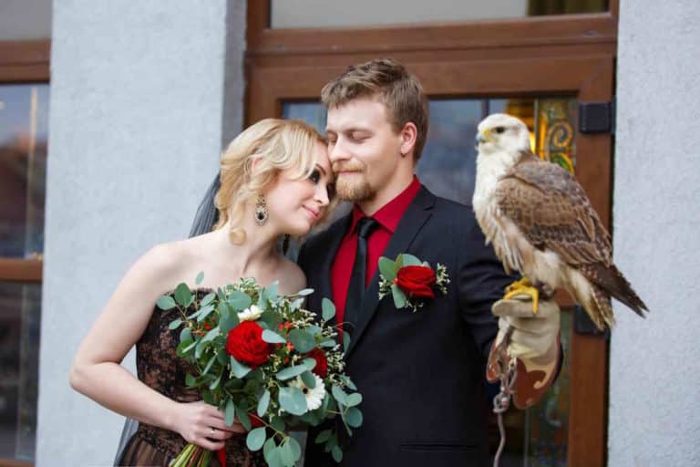 matrimonio rapace.jpg