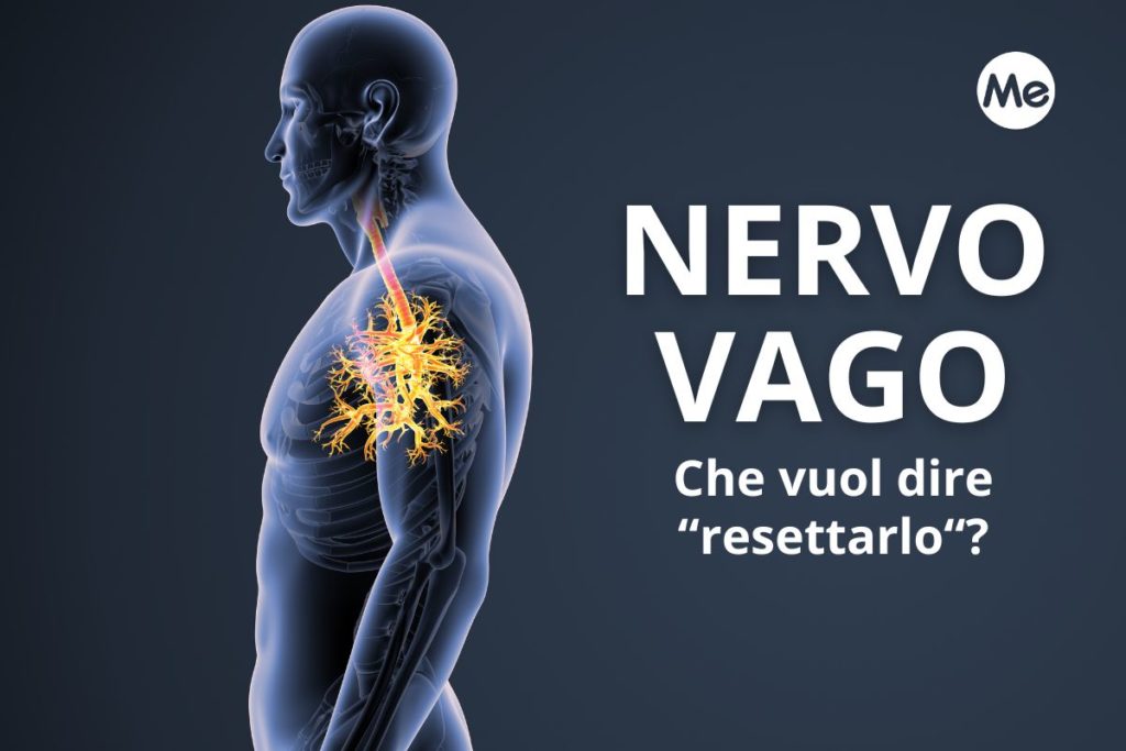 nervo vago.jpg