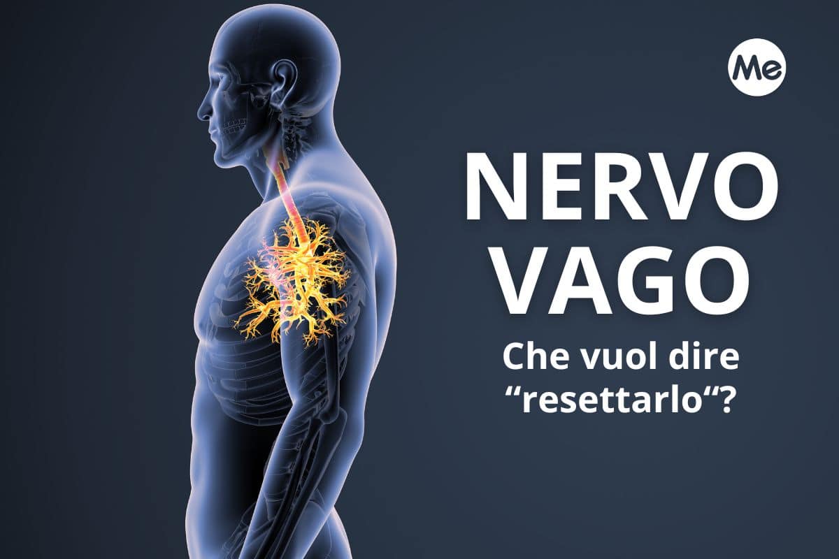 nervo vago.jpg