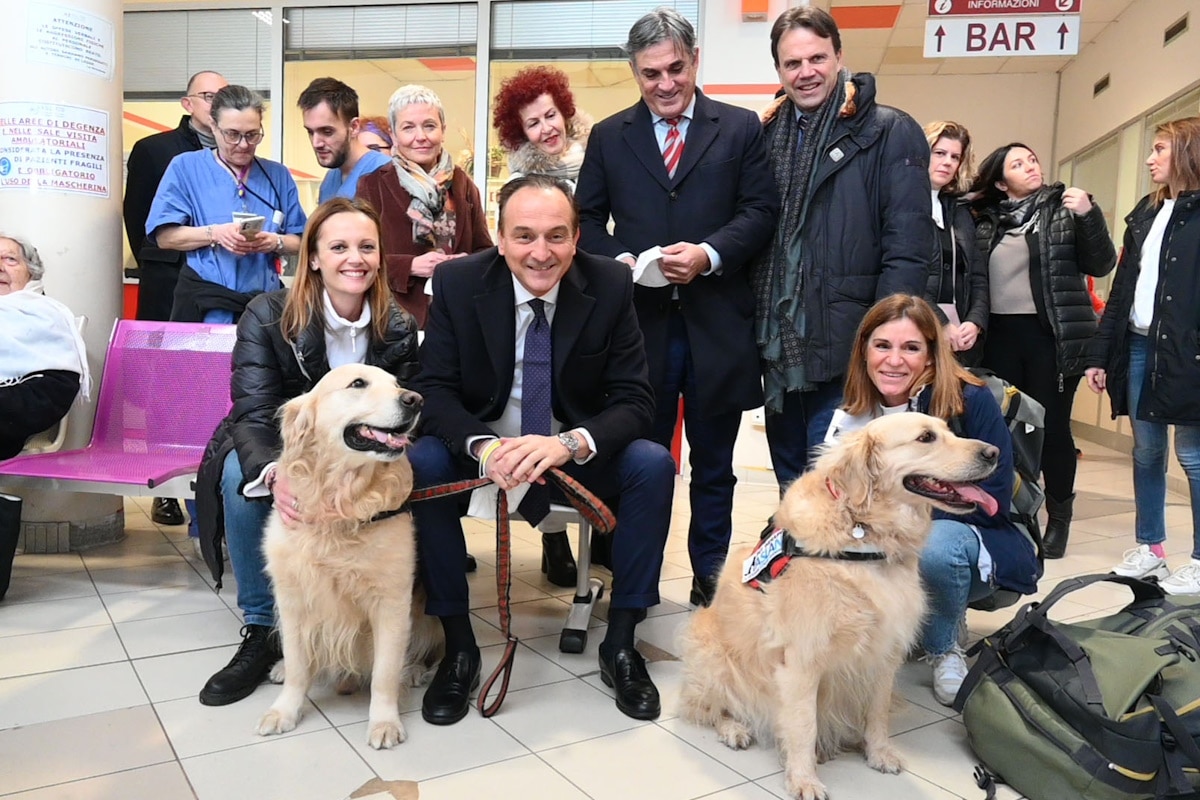 La Pet Therapy arriva per la prima volta in Rianimazione, due cani nel reparto dell’Ospedale di Rivoli doneranno amore a pazienti e personale 1 pet theraphy rianimazione.jpg