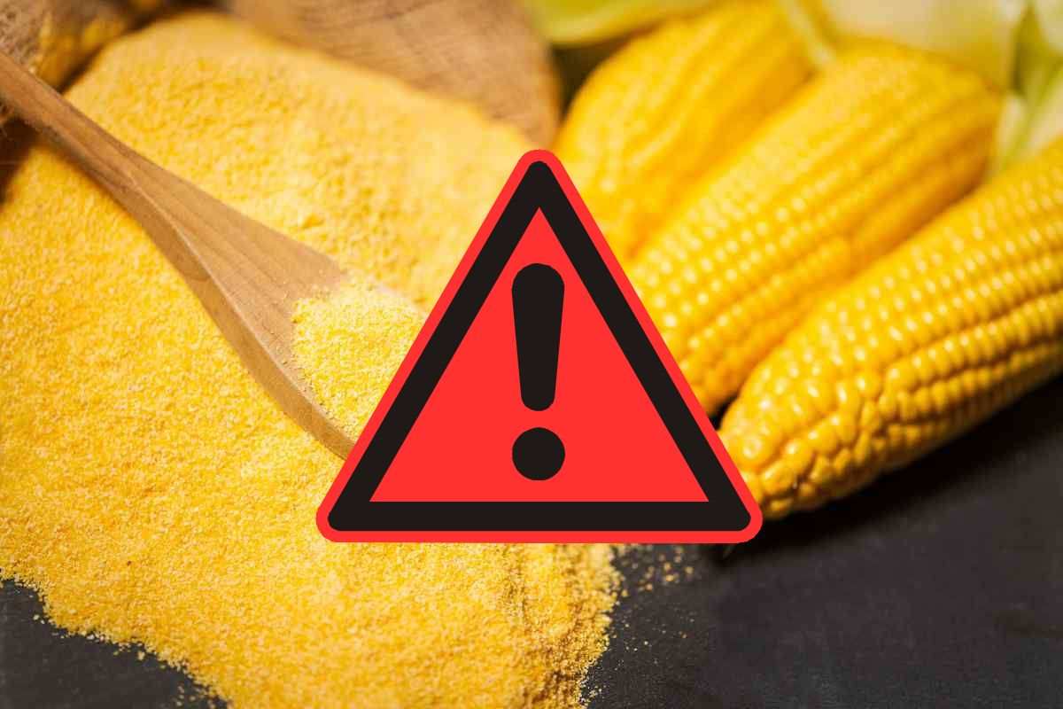 Polenta di mais, non consumare il lotto di questa marca (contiene aflatossine oltre i limiti) 1 polenta richiamo 1.jpg