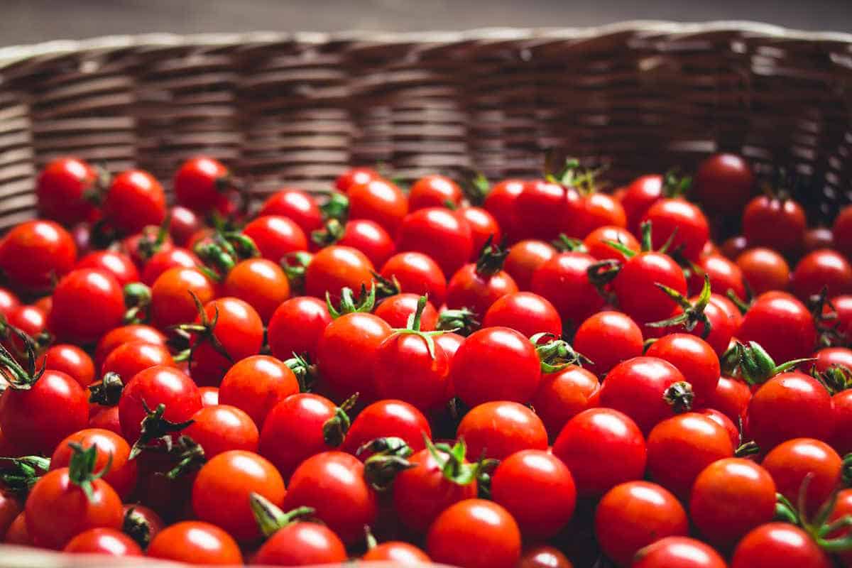 pomodori.jpg