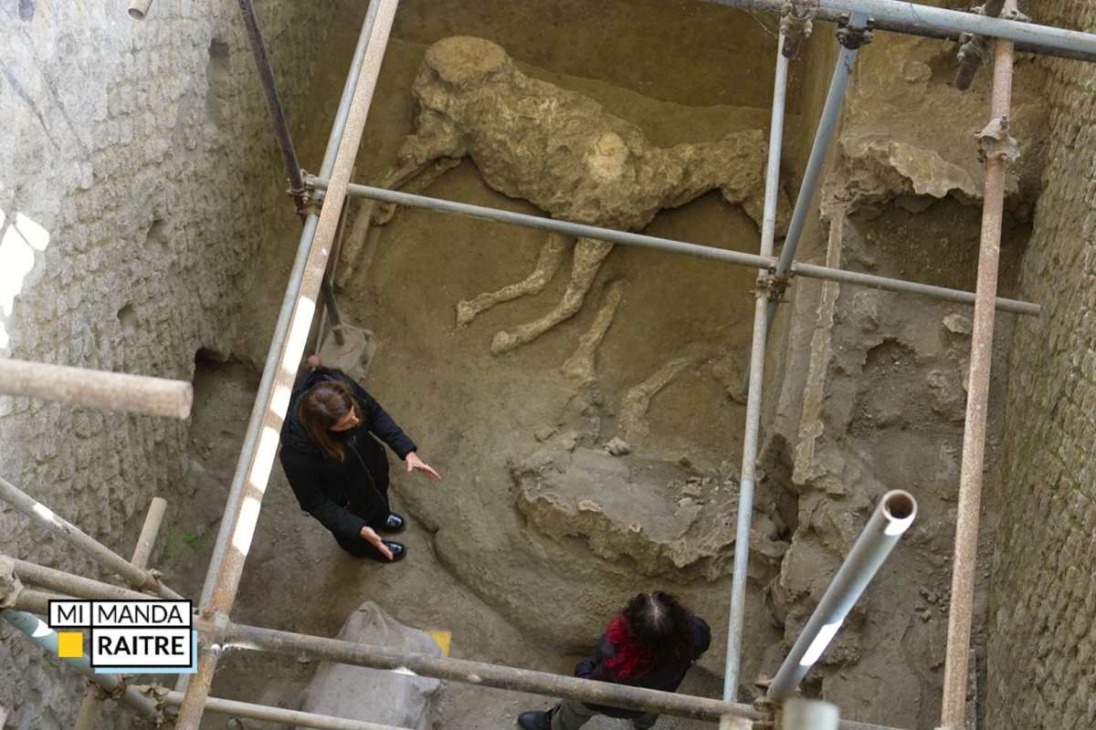 pompei mimanda.jpg