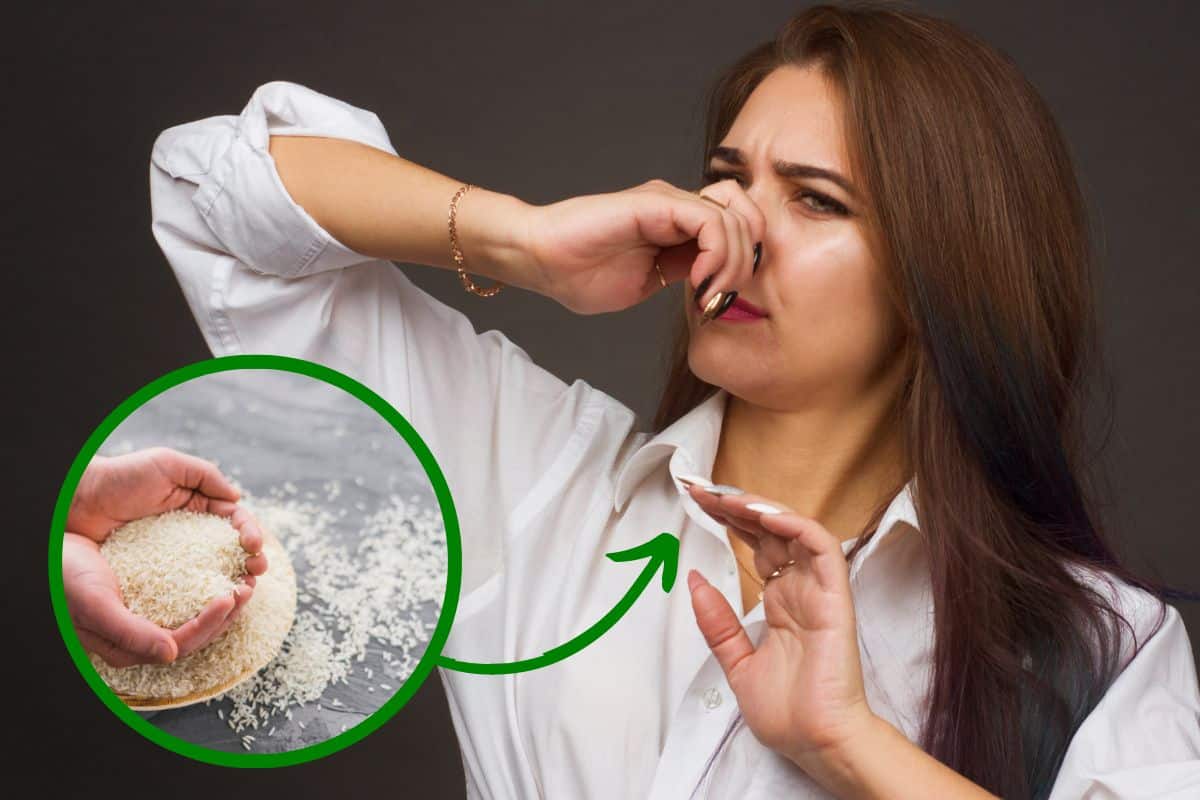 Riso, incredibile alleato contro i cattivi odori: ecco come lo utilizzo in cucina, nel bagno e nell’armadio 1 riso contro i cattivi odori.jpg