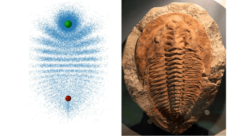 the molecule and the trilobite m.png