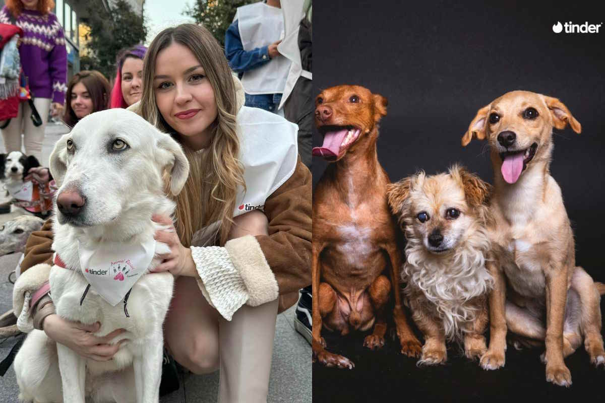 Adozione al primo appuntamento: così Tinder aiuta utenti e animali abbandonati a trovare il match perfetto 1 tinder.jpg