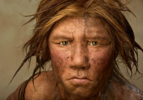 uomo di neanderthal 500x352.jpg