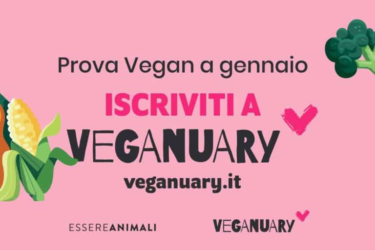 veganuary.jpg