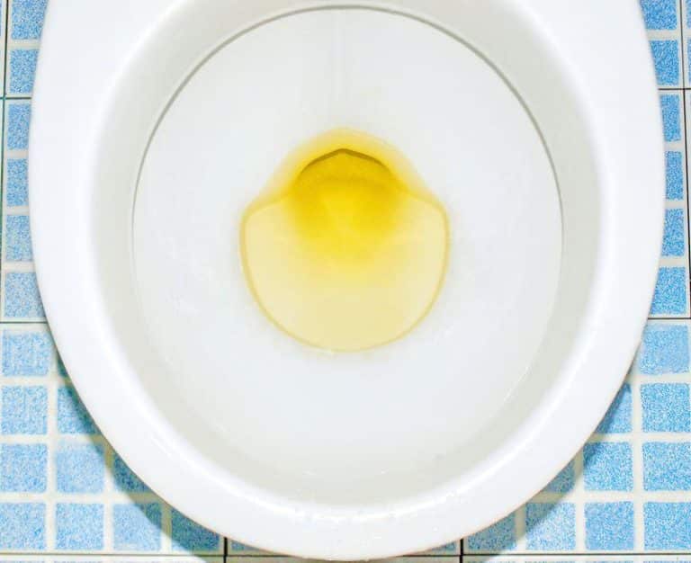 white toilet bowl filled with yellow urine m.jpg