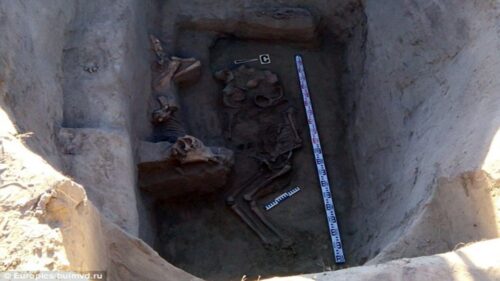 Scoperto guerriero sepolto con cavallo e spada risalente al VII secolo 1 2BAE17E200000578 0 Archaeologists discovered the remains of a Scythian warrior king a 3 1440606464253 2 1 1 500x281.jpg