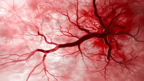 Bleeding Blood Vessels Art Concept 777x518 1 500x281.jpg