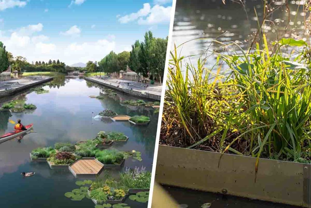 Giardini urbani gallegianti.jpg