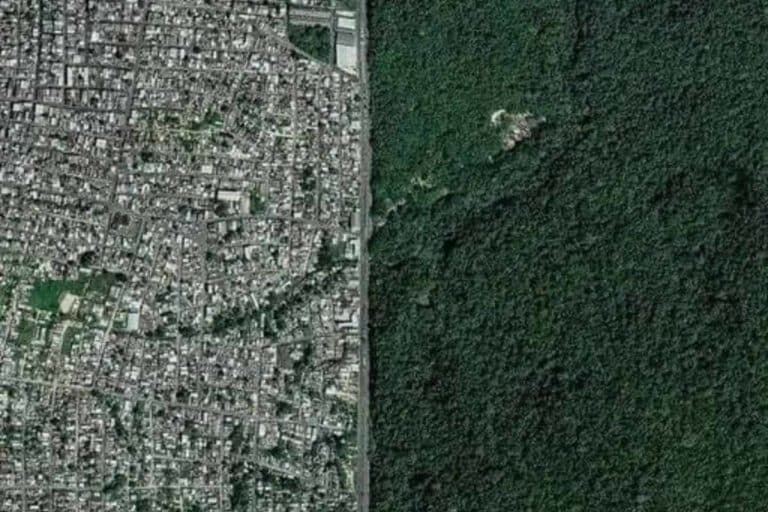 Manaus Foresta Amazzonica.jpg