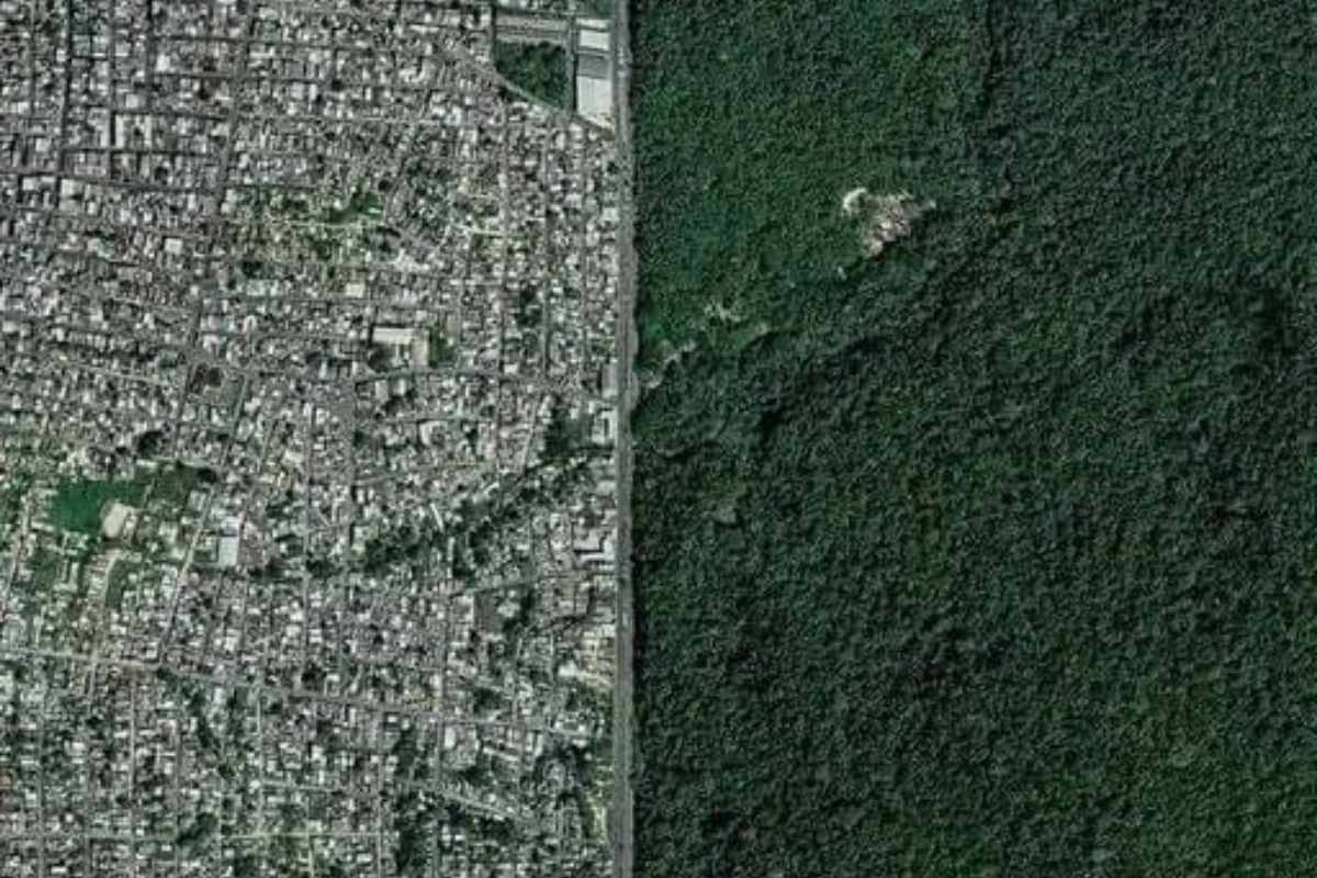 Manaus Foresta Amazzonica.jpg