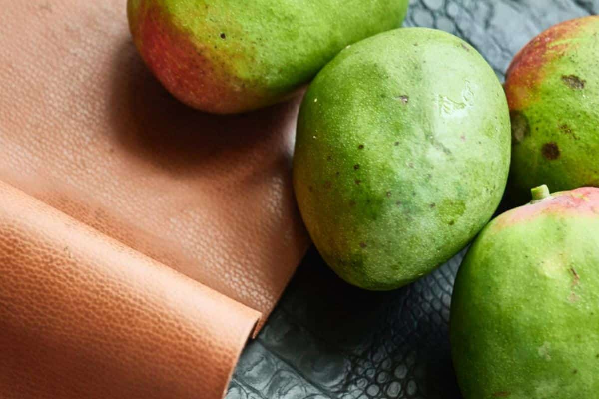 Mango.jpg