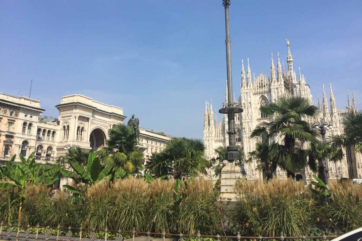 Milano palme.jpg