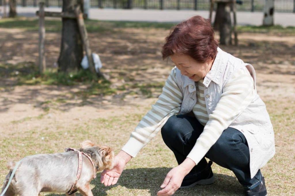 Pensionata animali.jpg