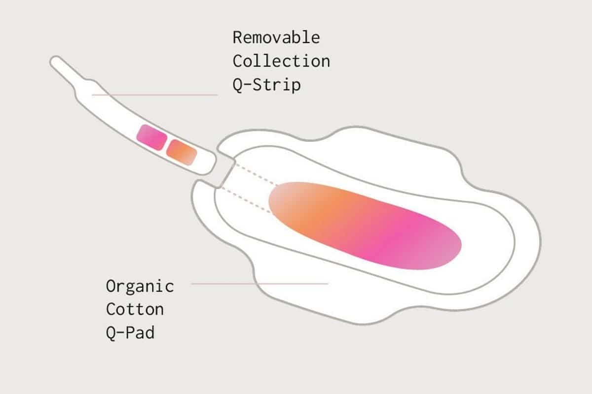 Questo è il primo assorbente diagnostico al mondo che utilizza il sangue mestruale per misurare l’emoglobina nelle donne affette da diabete 1 Q pad Qvin assorbente.jpg