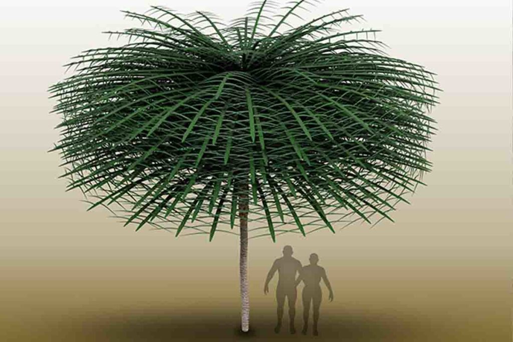 Sanfordiacaulis ricostruzione artistica.jpg