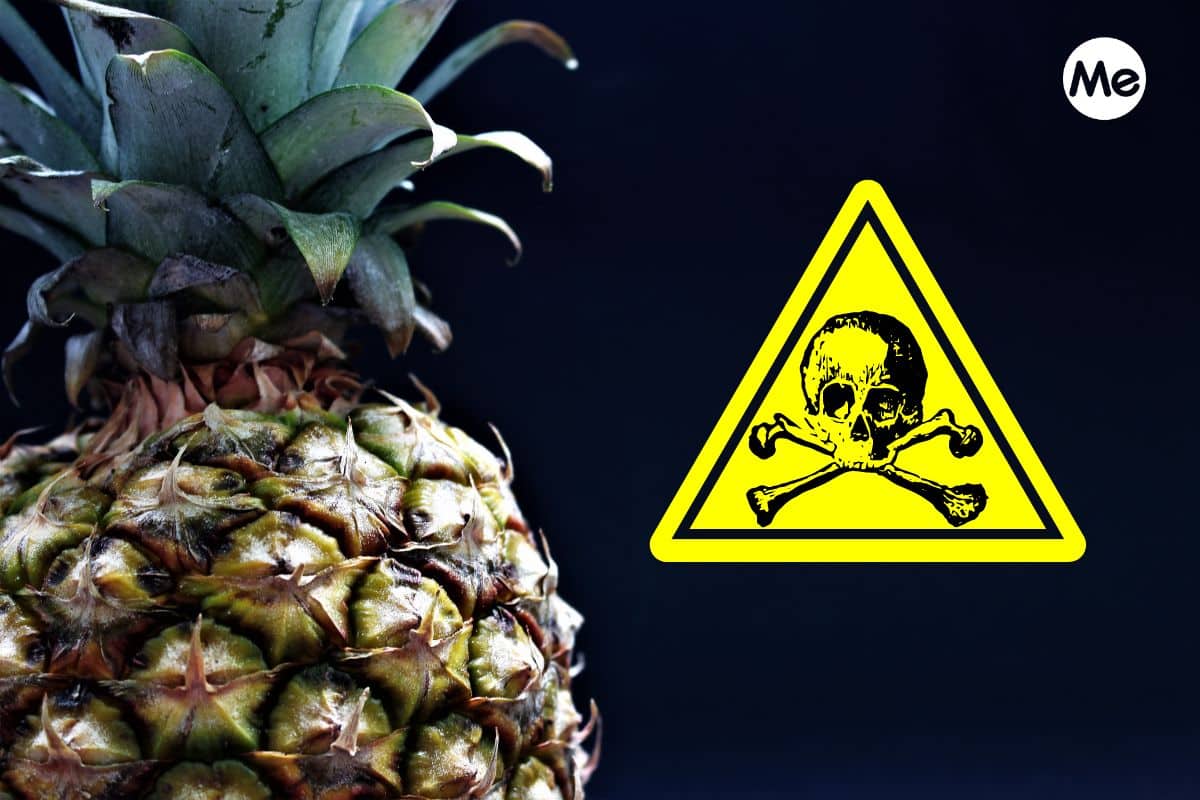 Il lato oscuro dell’ananas, la lista dei marchi del supermercato più contaminati (anche da pesticidi vietati) 1 ananas pesticidi.jpg