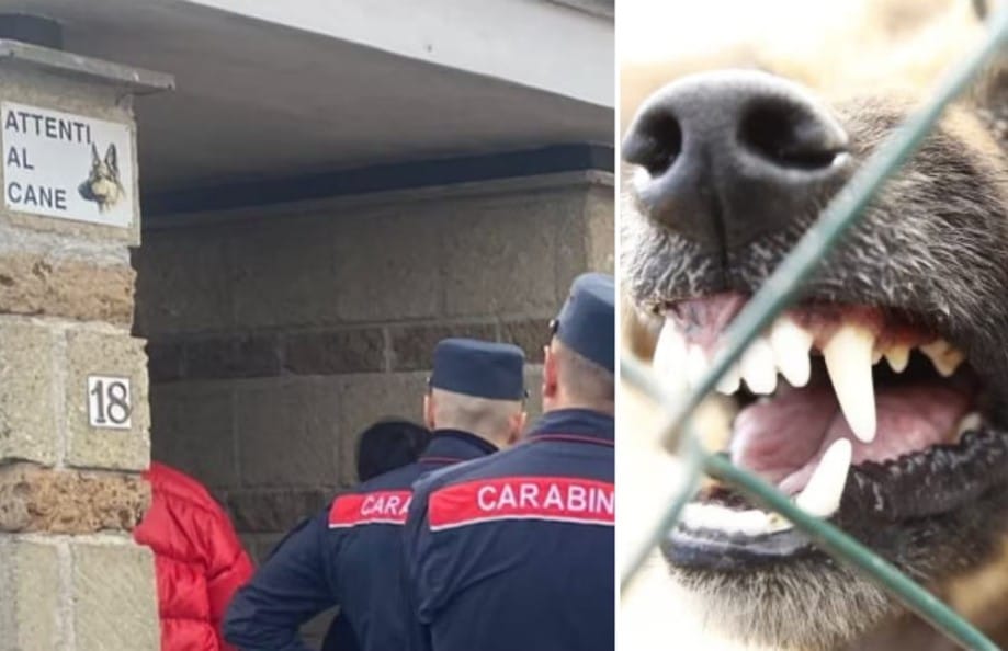 anguillara cane lupo nonna nipote.jpg