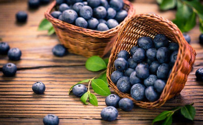 blueberries m.jpg