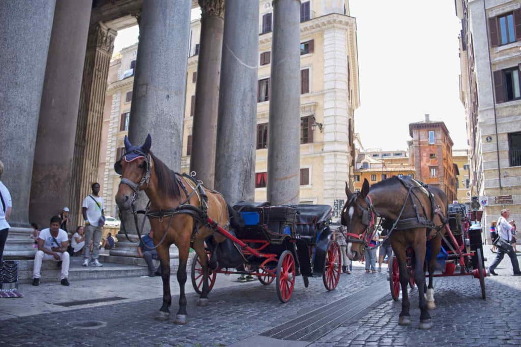 botticelle roma.jpg