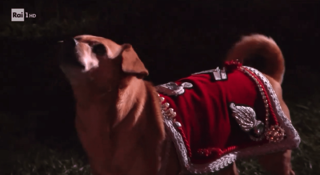 briciola mascotte carabinieri sanremo 2024 .png