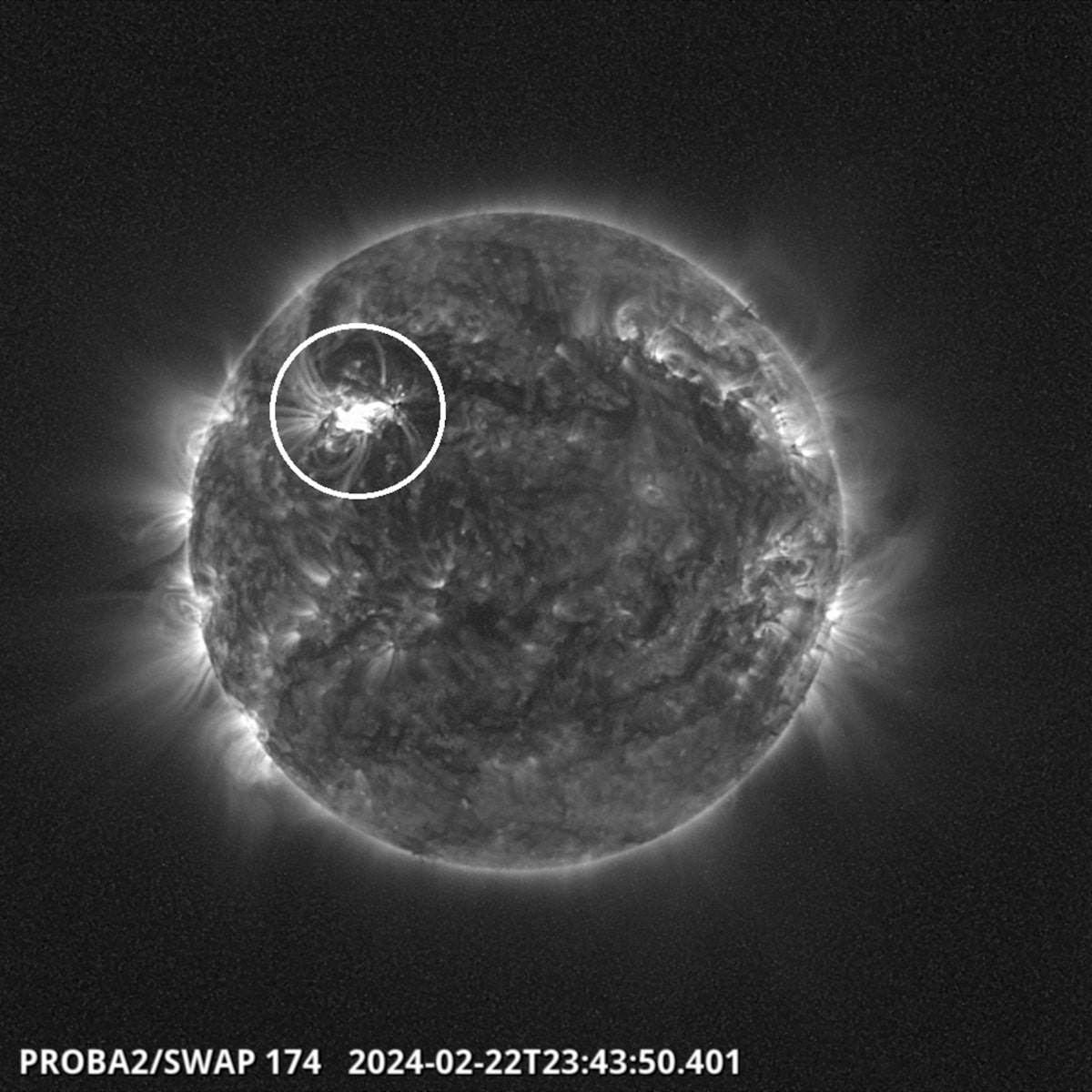 brillamenti solari potentissimi febbraio 2024