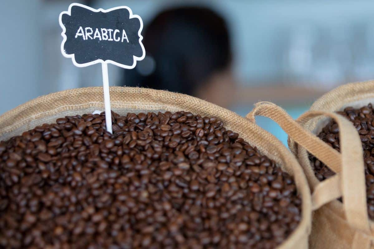 Caffè: ricostruita la storia genetica dell’Arabica (e i cambiamenti climatici fanno un po’ meno paura) 1 caffe arabica.jpg