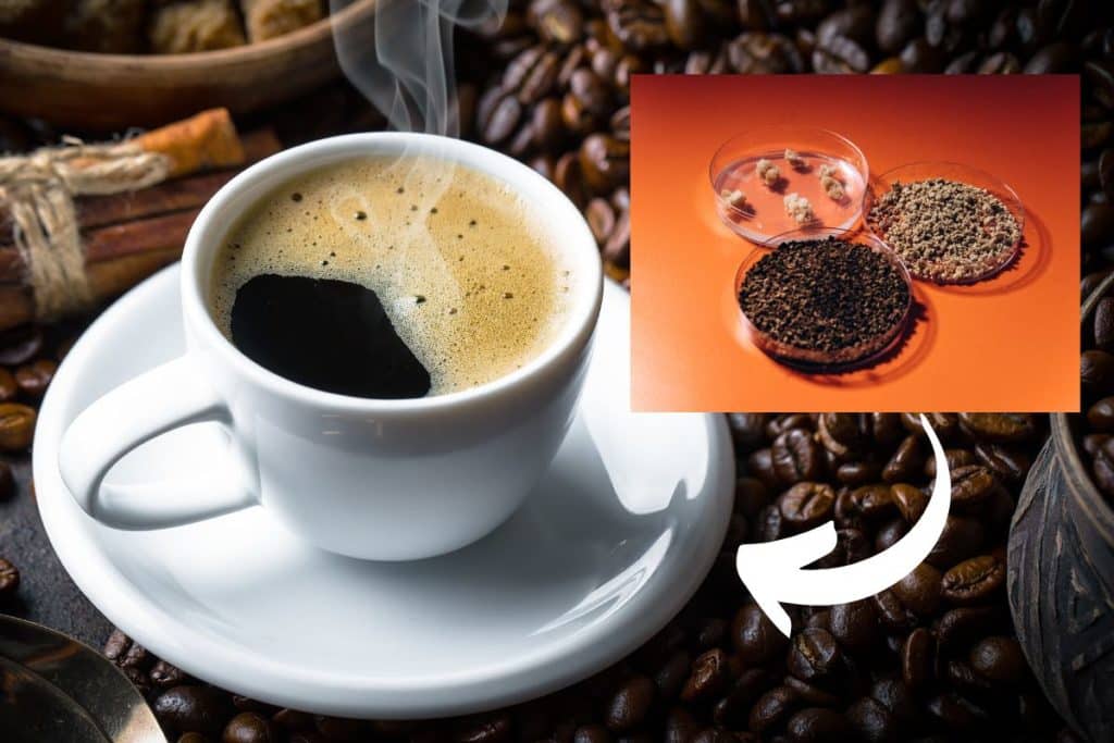 caffe laboratorio.jpg