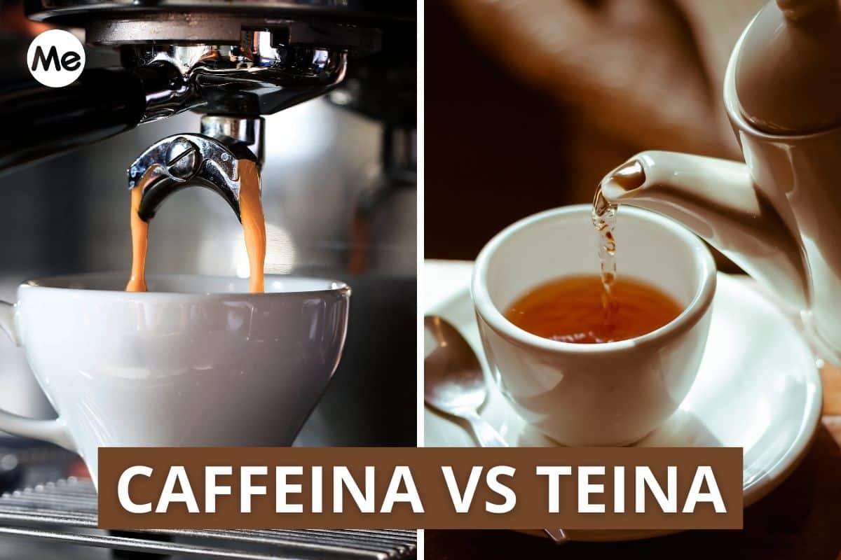 caffeina vs teina.jpg